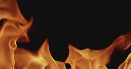 10inch Anime Cute Digital Monster Digimon Koromon Soft Plush Toy Doll Pillow